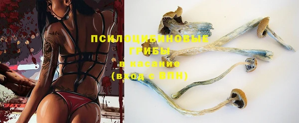 крисы Фёдоровский