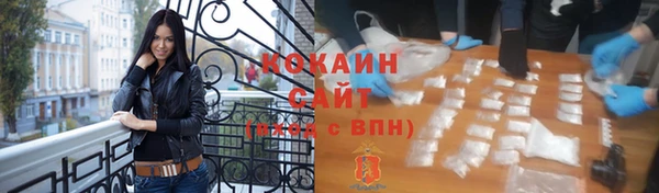 индика Беломорск