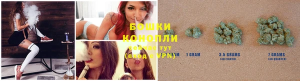 индика Беломорск