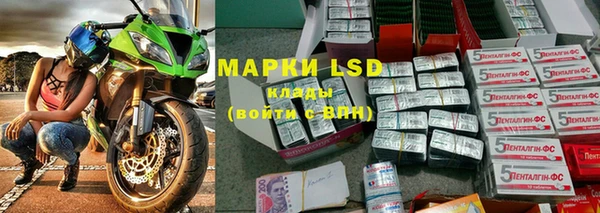 apvp Белокуриха