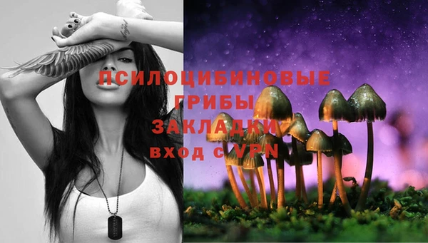 apvp Белокуриха