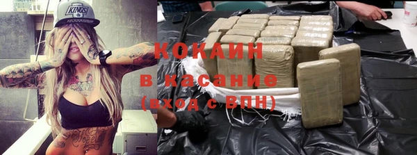 индика Беломорск