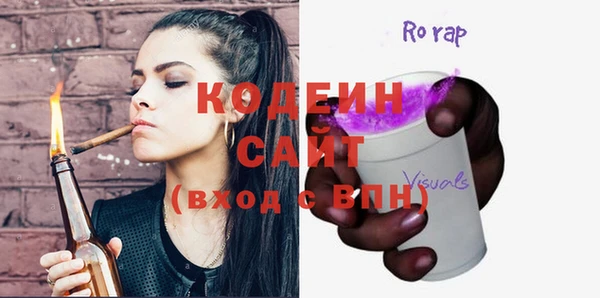 индика Беломорск