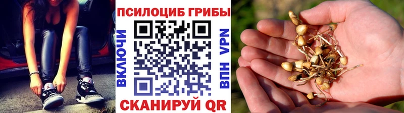 купить наркотики сайты  Берёзовский  Галлюциногенные грибы прущие грибы 